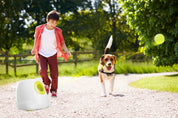 Interaktive Ballwerfer für großen Hund-Maxi ball launcher