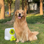 Interaktive Ballwerfer für großen Hund-Maxi ball launcher