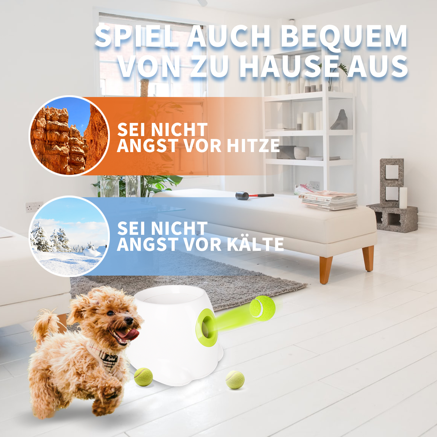 Interaktive Ballwerfer für kleinen und mittleren Hund - Mini Ball Launcher